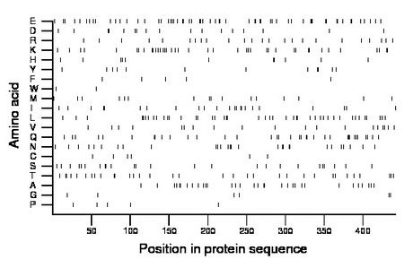 amino acid map