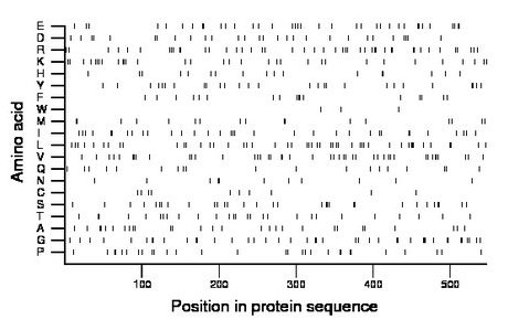 amino acid map