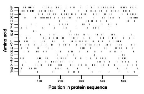 amino acid map