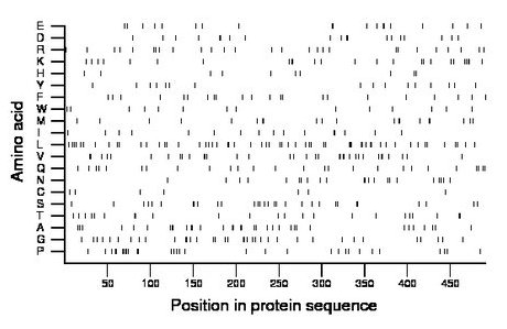 amino acid map