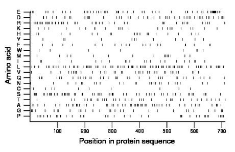 amino acid map