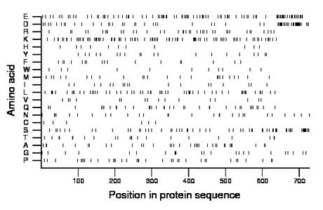 amino acid map