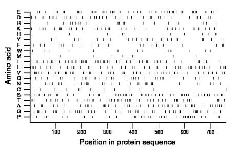 amino acid map