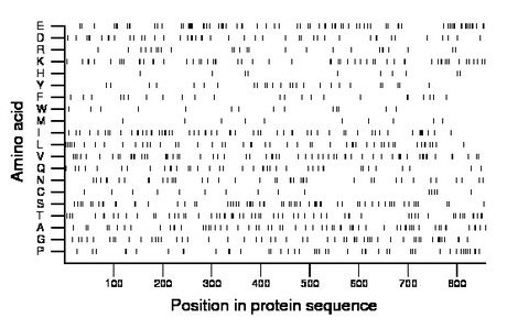 amino acid map