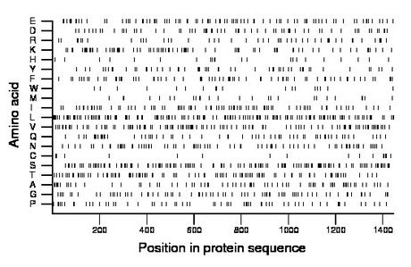 amino acid map