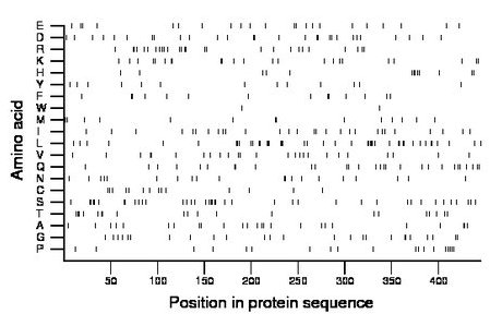 amino acid map