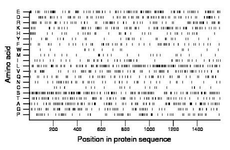 amino acid map