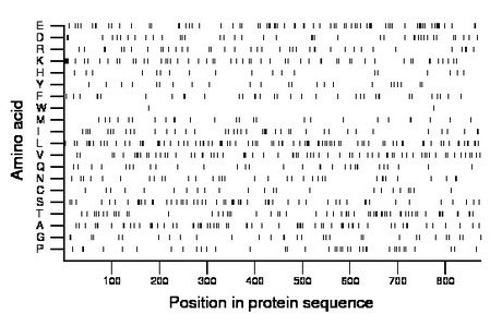 amino acid map