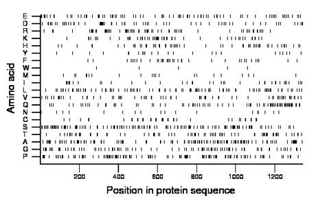 amino acid map