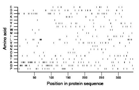 amino acid map