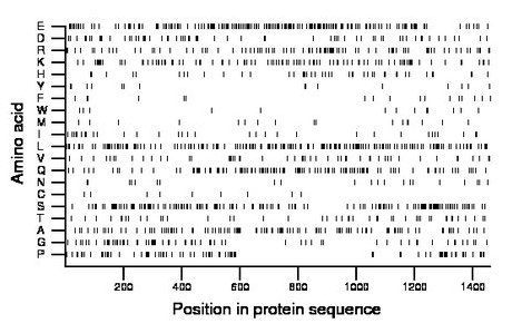 amino acid map