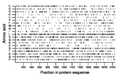 amino acid map