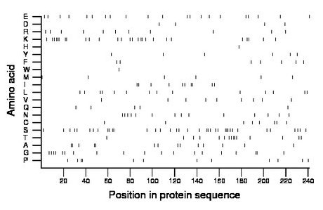 amino acid map