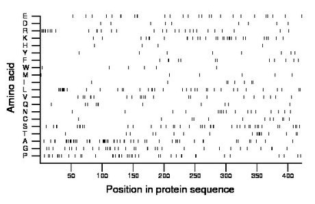 amino acid map