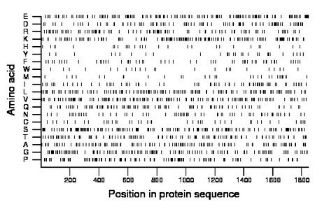 amino acid map