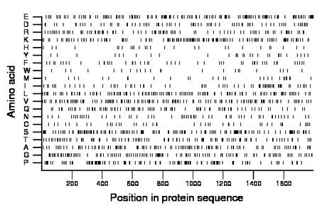 amino acid map