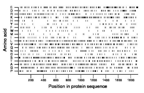 amino acid map