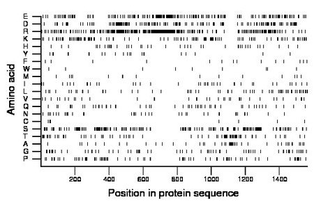 amino acid map