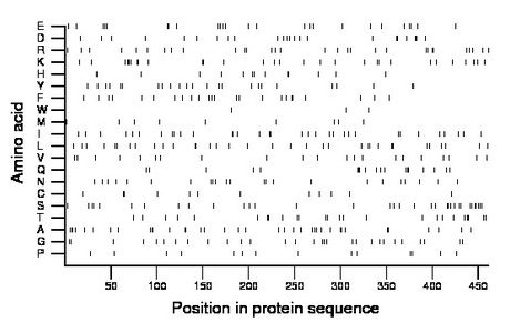 amino acid map