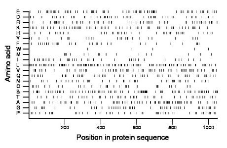 amino acid map