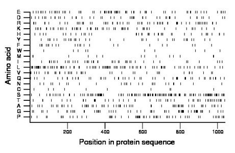 amino acid map