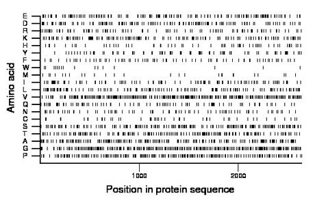 amino acid map