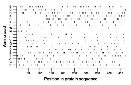 amino acid map