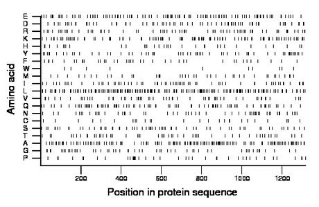 amino acid map