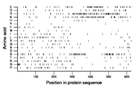 amino acid map