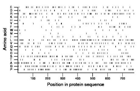 amino acid map