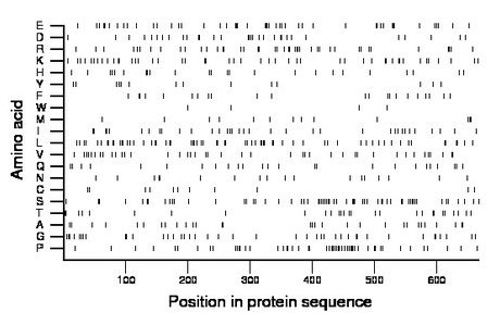 amino acid map