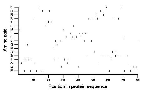 amino acid map