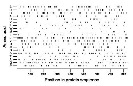 amino acid map