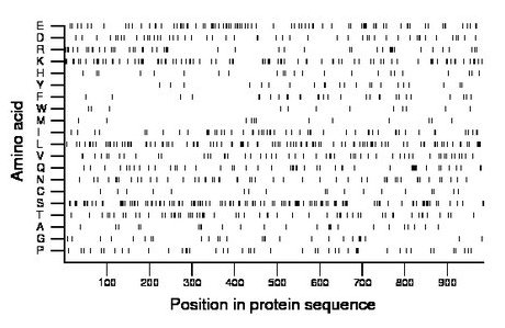 amino acid map