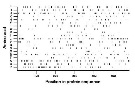 amino acid map