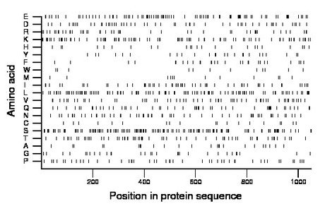 amino acid map