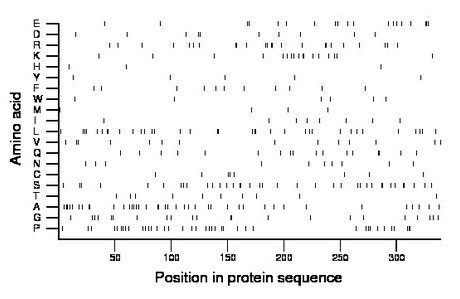 amino acid map