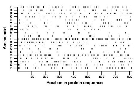 amino acid map