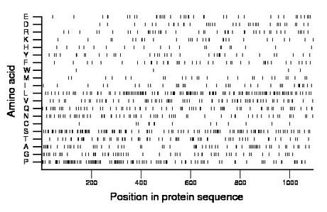 amino acid map