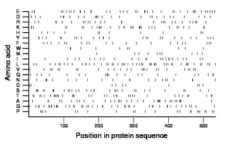 amino acid map