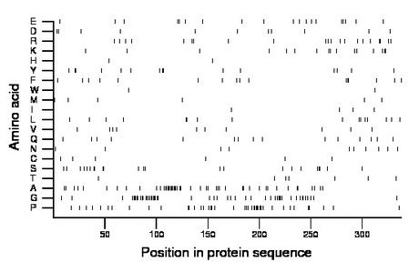 amino acid map