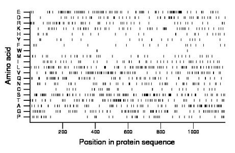 amino acid map