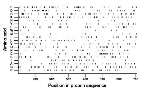 amino acid map