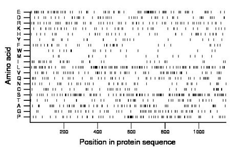 amino acid map