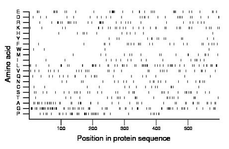 amino acid map