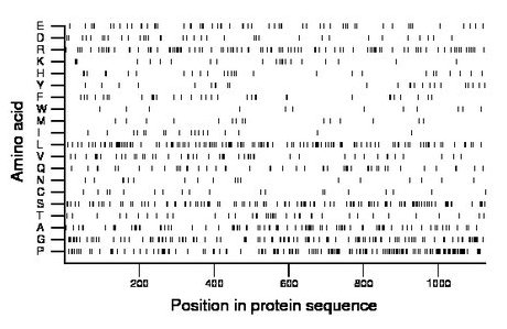 amino acid map