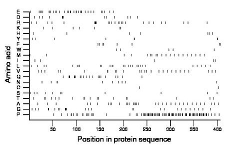 amino acid map