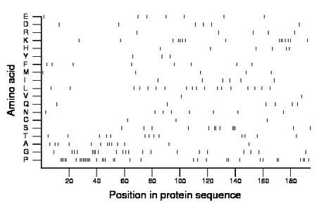 amino acid map