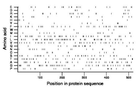 amino acid map