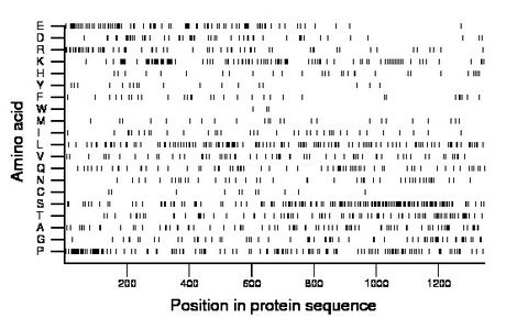 amino acid map